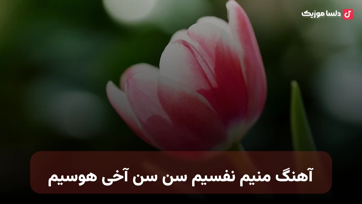 آهنگ منیم نفسیم سن سن آخی هوسیم ترکی